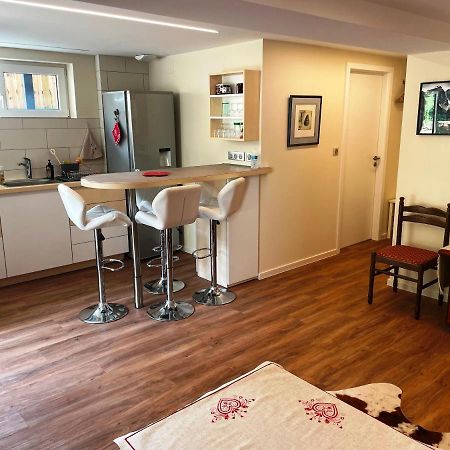 Appart Prive Dans Villa Meinau Residentiel ستراسبورغ المظهر الخارجي الصورة