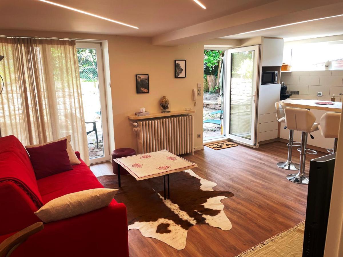Appart Prive Dans Villa Meinau Residentiel ستراسبورغ المظهر الخارجي الصورة