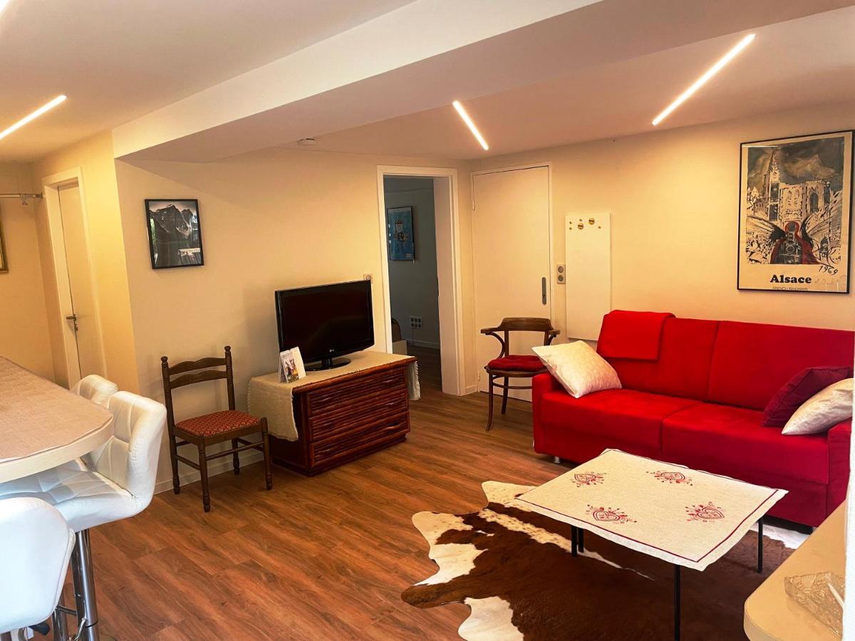 Appart Prive Dans Villa Meinau Residentiel ستراسبورغ المظهر الخارجي الصورة