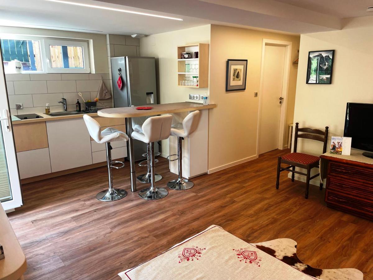 Appart Prive Dans Villa Meinau Residentiel ستراسبورغ المظهر الخارجي الصورة